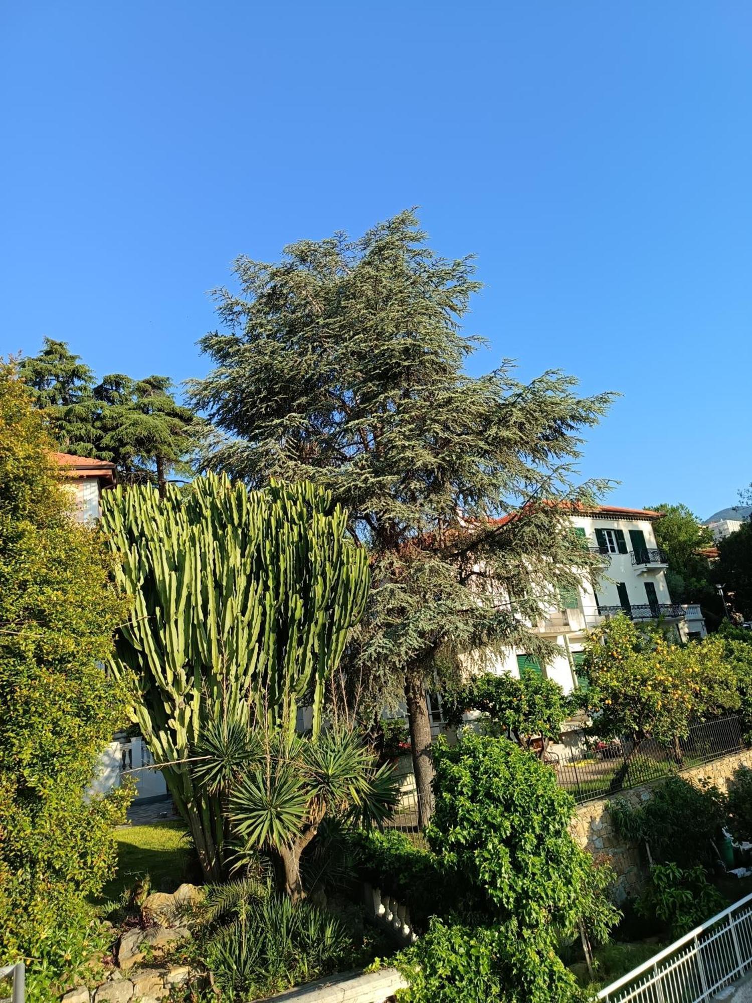 Casa Francesca Con Parcheggio Gratuito Appartement San Remo Buitenkant foto